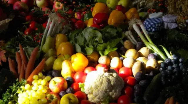 Solidarisch Landwirtschaften – Zukunftsidee für Ammerbuch