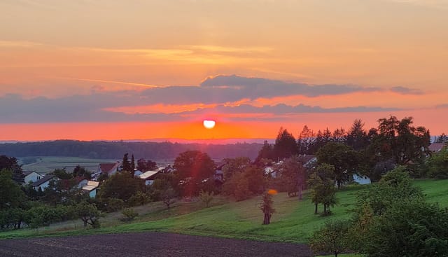 Unsere Kandidat:innen
