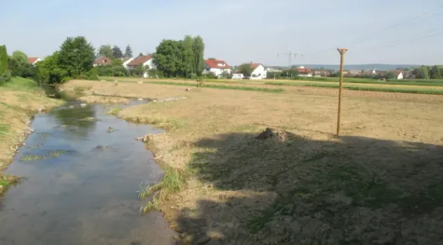 Renaturierungen an der Ammer